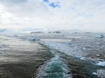 (2015) Kinnes Cove, Antarctica_8