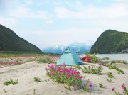 (2004) Alsek Lake, Alaska
