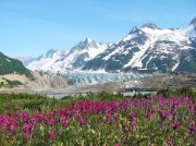 (2004) Tatshenshini River, Alaska_1