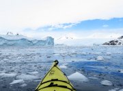 (2015) Cierva Cove, Antarctica_1