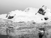(2015) Cierva Cove, Antarctica_3