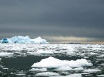 (2015) Cierva Cove, Antarctica_4