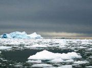(2015) Cierva Cove, Antarctica_4