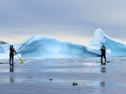 (2015) Cierva Cove, Antarctica_6