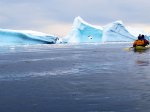 (2015) Cierva Cove, Antarctica_8
