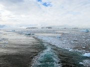 (2015) Kinnes Cove, Antarctica_8