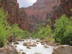 (2011) Grand Canyon, Arizona_4
