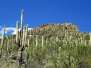 (2020) Sabino Canyon, Arizona_7