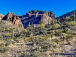 (2022) Organ Pipe Cactus NM, Arizona