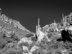 (2022) Peralta Trail, Arizona