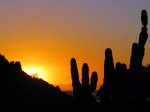 (2016) Espiritu Santo Island, Mexico_2
