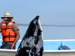 (2016) Magdalena Bay, Mexico_5