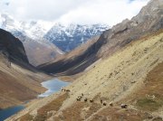 (2007) Chomolhari Trek, Bhutan_7