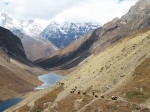 (2007) Chomolhari Trek, Bhutan_7