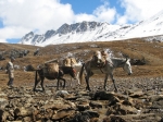 (2007) Chomolhari Trek, Bhutan_8