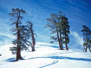 (1979) Yosemite, California_3