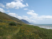 (2008) Lost Coast, California_1