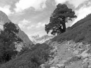 (2013) North to South Lakes Loop, California_4
