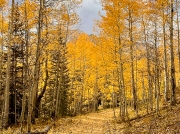 (2024) Copper Creek Trail, Colorado_1