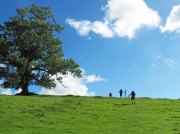 (2009) Dales Way, England_3