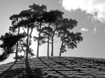 (2009) Dales Way, England_4