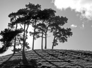 (2009) Dales Way, England_4