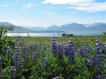 (2010) Hrisey Island, Iceland_1
