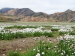 (2010) Laugavegur Trail, Iceland_1