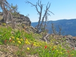 (2011) Seven Devils, Idaho_1
