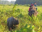 (2013) India, West Bengal_6
