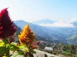 (2013) India, Sikkim_1