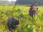(2013) India, West Bengal_6