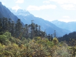 (2013) India, Sikkim_4