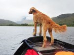 (2013) Ireland_6