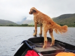 (2013) Ireland_6