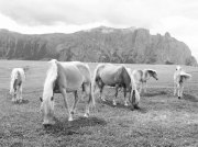 (2008) Dolomites, Italy_6