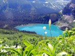 (2014) Glacier National Park, Montana_3