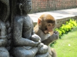 (2010) Kathmandu, Nepal_4