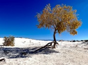 (2022) White Sands NP, New Mexico_1