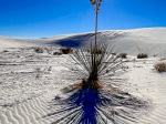 (2022) White Sands NP, New Mexico_3