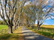 (2021) Highland Entry, Virginia