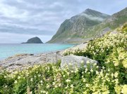 (2023) Lofoten Islands, Norway_2