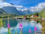 (2023) Lofoten Islands, Norway_4