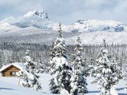 (2011) Santiam Pass, Oregon