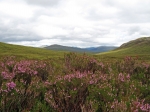 (2009) West Highland Way, Scotland_3