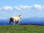 (2018) Isle of Skye, Scotland_5
