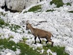 (2015) Triglav National Park, Slovenia