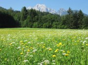 (2015) Kranjska Gora, Slovenia_1