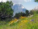 (2015) Vrsic Pass, Slovenia
