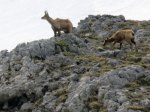 (2018) Picos de Europa, Spain_4